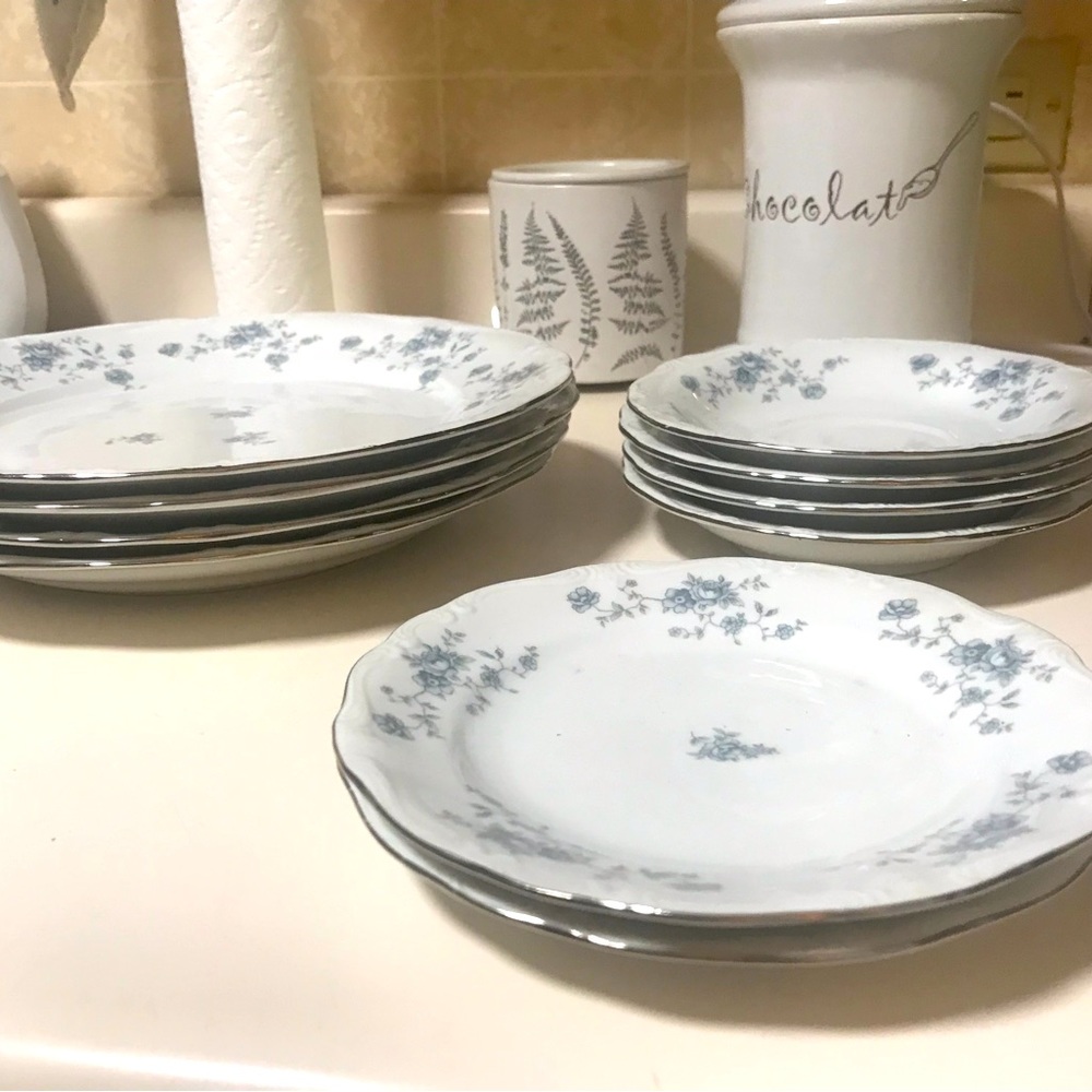 1980’s Vintage fine China  Johann Haviland German Plate Set